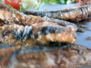 Rhodos Kleine Fische